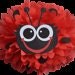 PomPomMomma