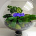 TerrariumHouse