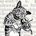 FiddlingCats avatar