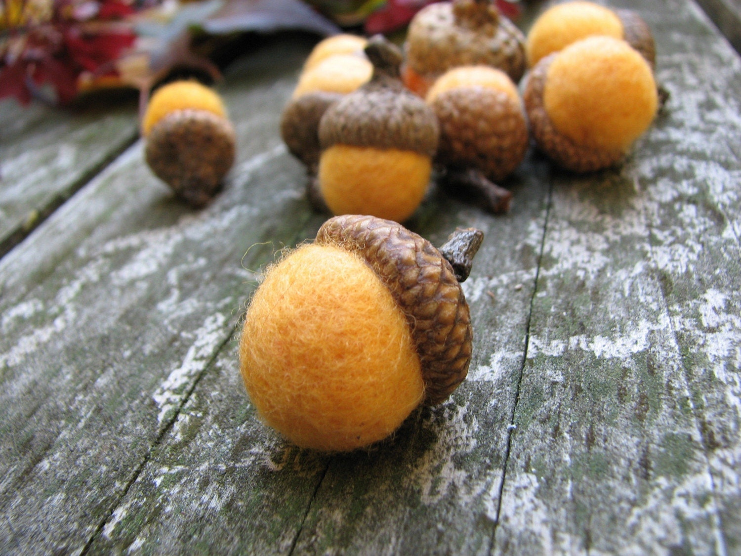 3 Needle Felted Wool Acorns - Squash