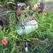 Quart Mason Jar Bird Feeder