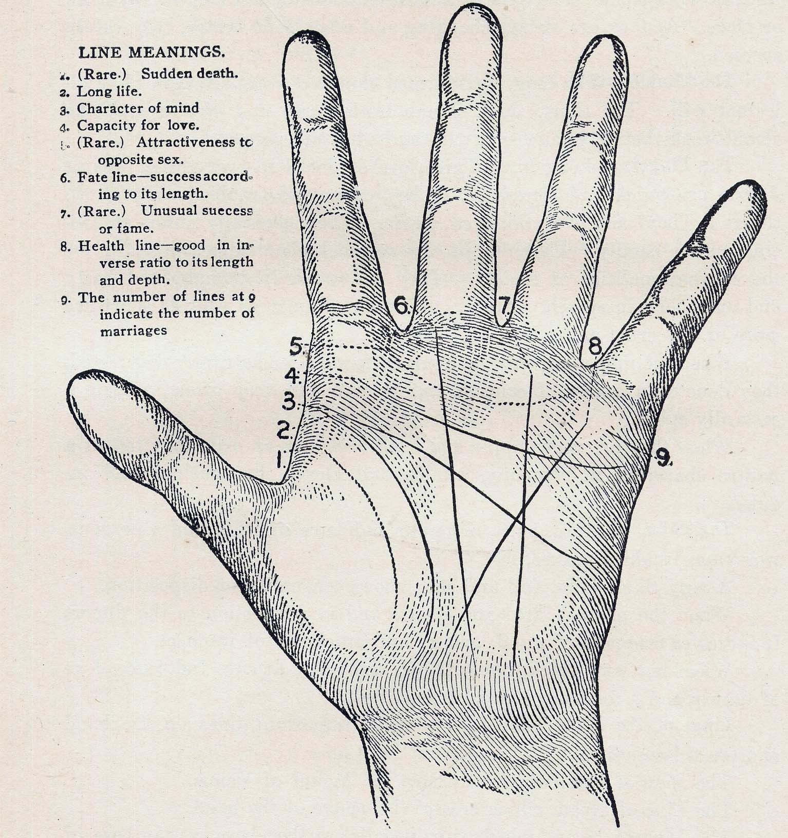 Palmistry Science Of Reading The Hand  Vintage Phenology Chart Medical Quackery 1908