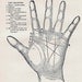 Palmistry Science Of Reading The Hand  Vintage Phenology Chart Medical Quackery 1908