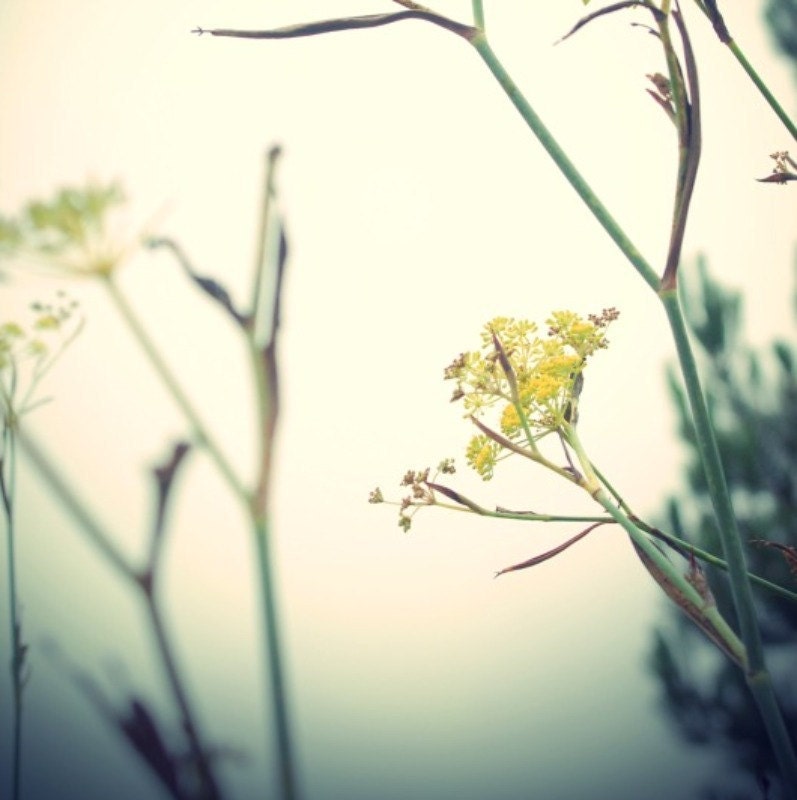 Interlude I - Photo print 20x30cm