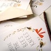 Postcard Set: Bee's Knees & Cat's Pajamas