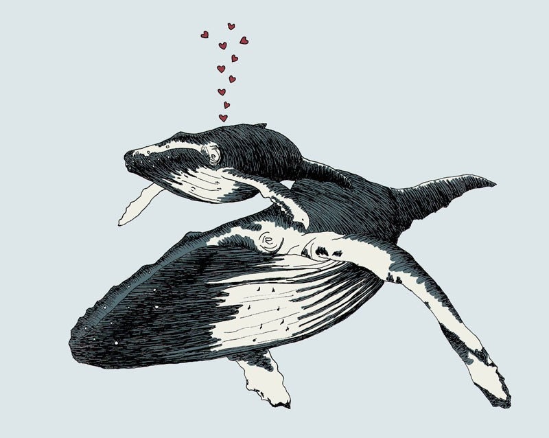 Whale Always Be Together 8x10 print