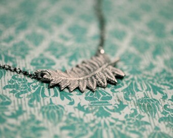 fern.
