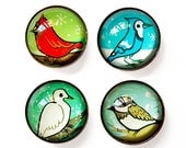 BIRD MAGNETS Set of 4 by boygirlparty - cardinal dove chickadee blue jay glass magnets - fridge magnet gift set