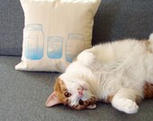 Blue Mason Jars pillow cover - SALE