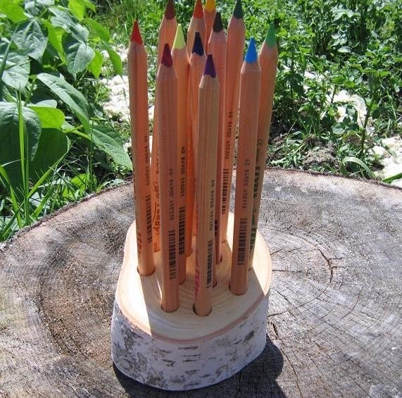 Large Pencil Birch Branch Holder Back to School Early Childhood