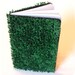 Grass Journal