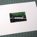 Polaroid Pogo Photography Print - Sweet Moss