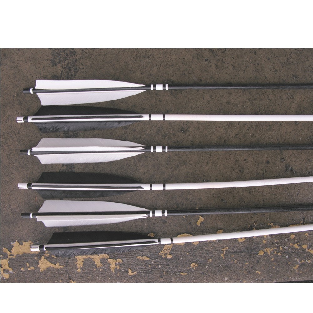 Black and White Classic Decor Feathered Arrows Set Snow White