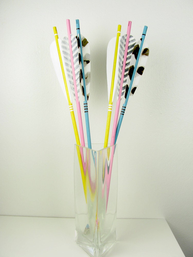 Pastel Arrows in Soft Pink and Light Blue with Striped Feathers
