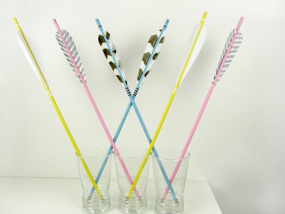 Pastel Arrows in Soft Pink and Light Blue with Striped Feathers