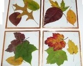 KIT - Glass Coaster Kit, COPPER, use with your pressed flowers, pictures, leaves and more - DIY Kit, Improved