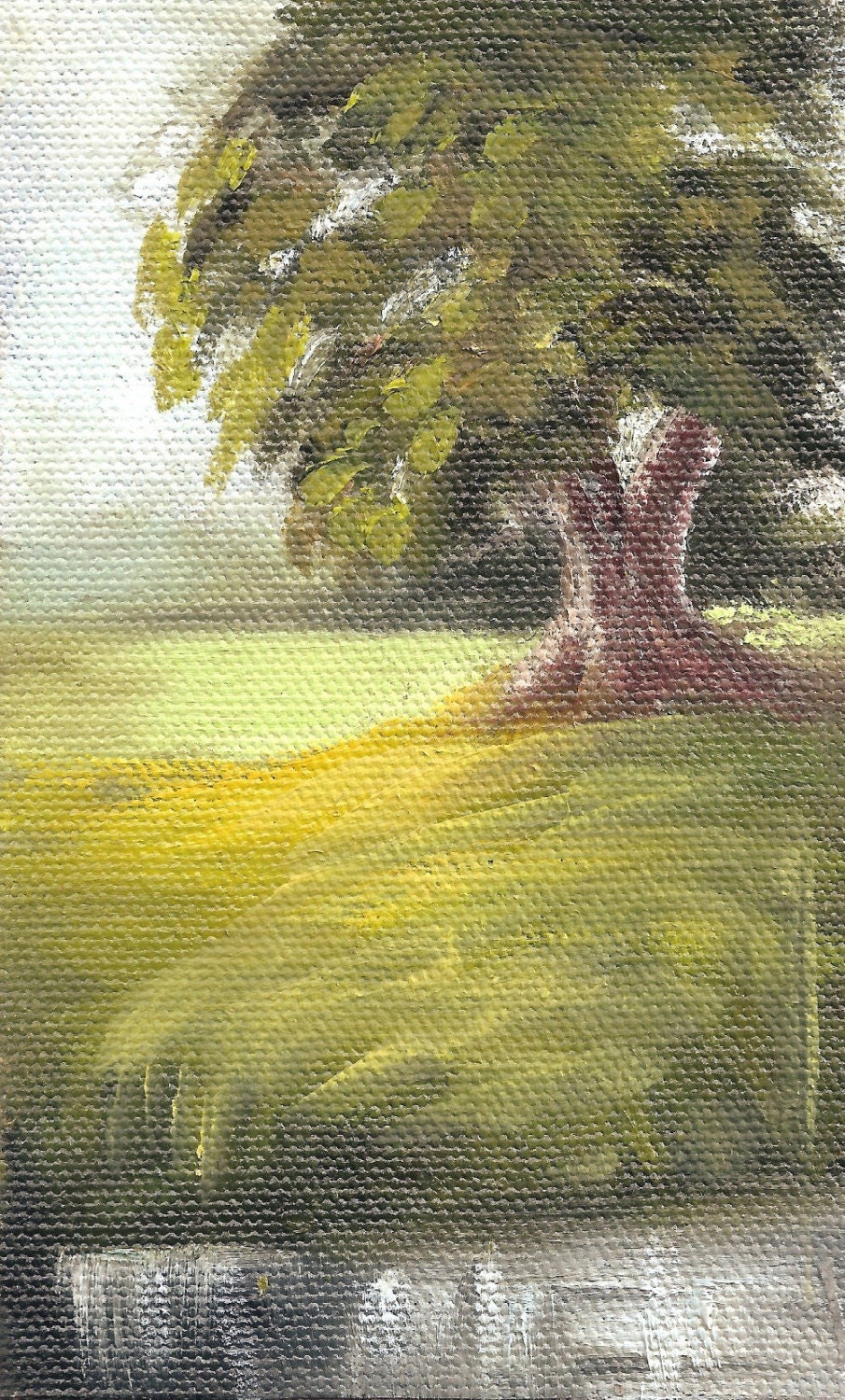 Mini Oak Tree Barbara Haviland EBSQ team Texas Artist DAily painter
