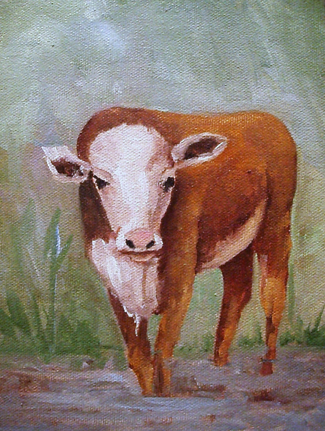 Hereford Calf Barbara Haviland oil painting miniature bovine western art original painting bovine