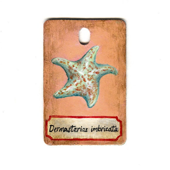 Original Miniature Painting Starfish: Leather Star