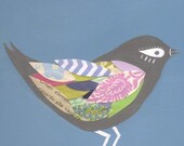slate junco