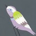 phoebe bird