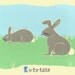 Alphabet Print Nursery Art - R is for Rabbit - Silkscreen Kids Wall Art