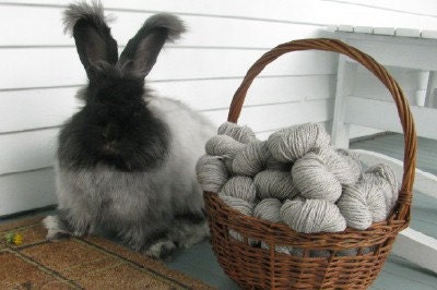 2013 Yarn CSA Angora Wool Blend