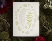 Feather and Fern Letterpress Card