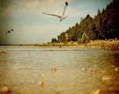 Nature Photograph - Mackinac Island - Deux- Michigan Art - Original Signed Fine Art Photograh - Landscape Photography