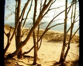 Nature Photograph - Landscape -  Sing a Song of Secret Places - Beach - Michigan - TTV - Viewfinder  - Fine Art Photography
