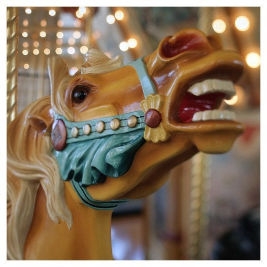 Carnival - Fair - Horse- Pony - Marigold- Carousel Horse- Signed Fine Art Photograph