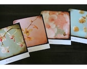 Flower Photographs- Fine Art Prints - Nature Photography- Viewfinder Photographs - Orchid - Hydrangea
