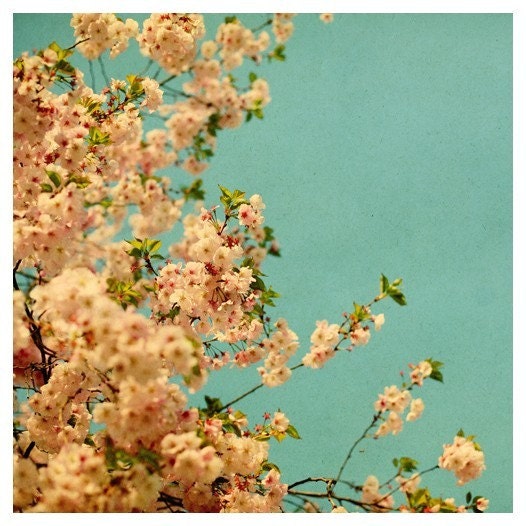 Flower Photograph - Spring Bloom - Cherry Blossom - Neon- Original Signed Fine Art Photograph- Home Decor
