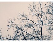And Three Flew Away - Original Signed Fine Art Photograph