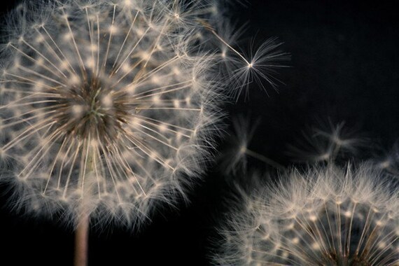Deja Vu- Original Signed Fine Art Photograph