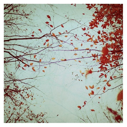 Autumn's Reach- Signed Fine Art Photograph