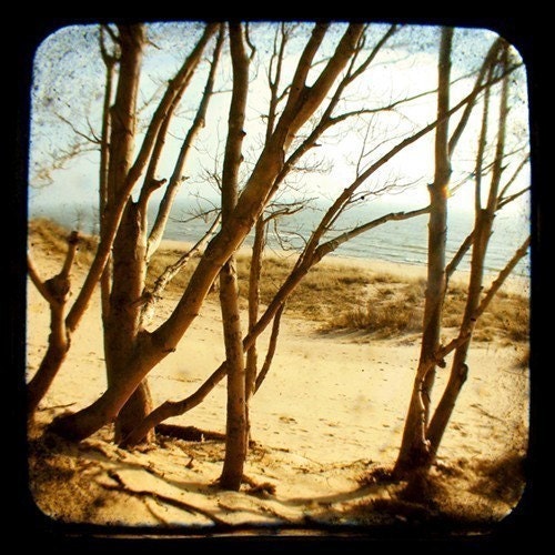 Nature Photograph - Landscape -  Sing a Song of Secret Places - Beach - Michigan - TTV - Viewfinder  - Fine Art Photography