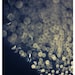 Fine Art Photograph - Sex and the City- I Like The Way You Say My Name- Abstract Photography - Blue