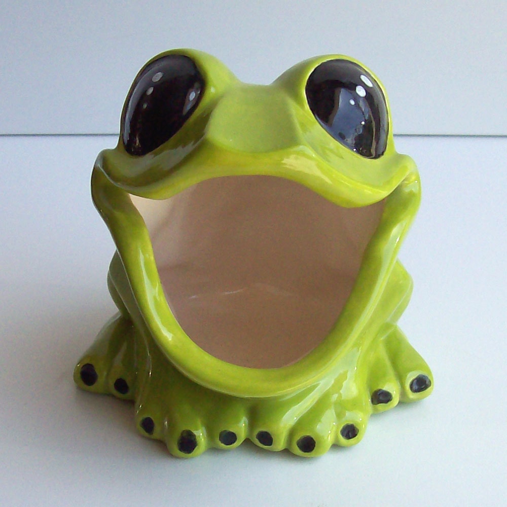Tree Frog Sponge holder  In Apple Green
