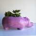 Ceramic Hippo Planter Vintage Design Lavender