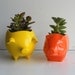 Ceramic 60s Mini Desk Pig Planter Vintage Design in Orange