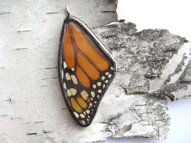 Monarch Butterfly Wing - glass pendant