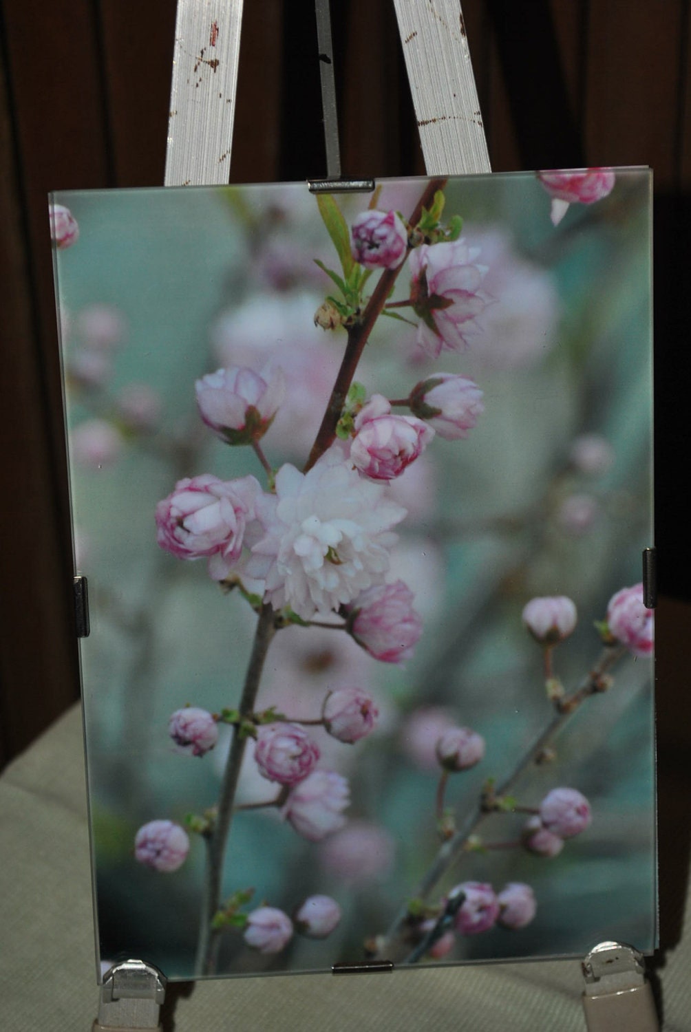 Soft Pink Pastel Dried Flower Botanical Art Photograph Framed 5"x7" Ready to Hang Print by Tjo