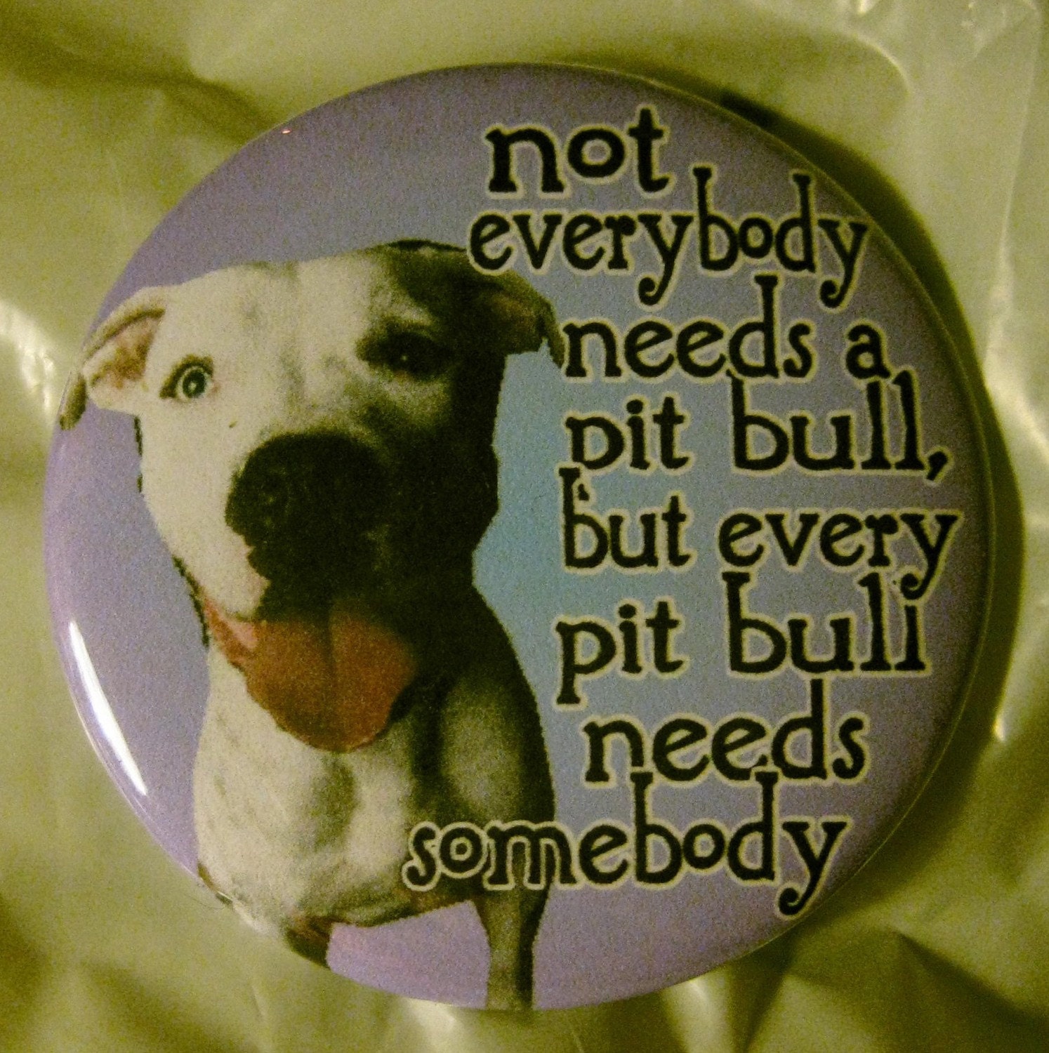 not everyone needs a pit bull but every pit bull needs someone ... pin