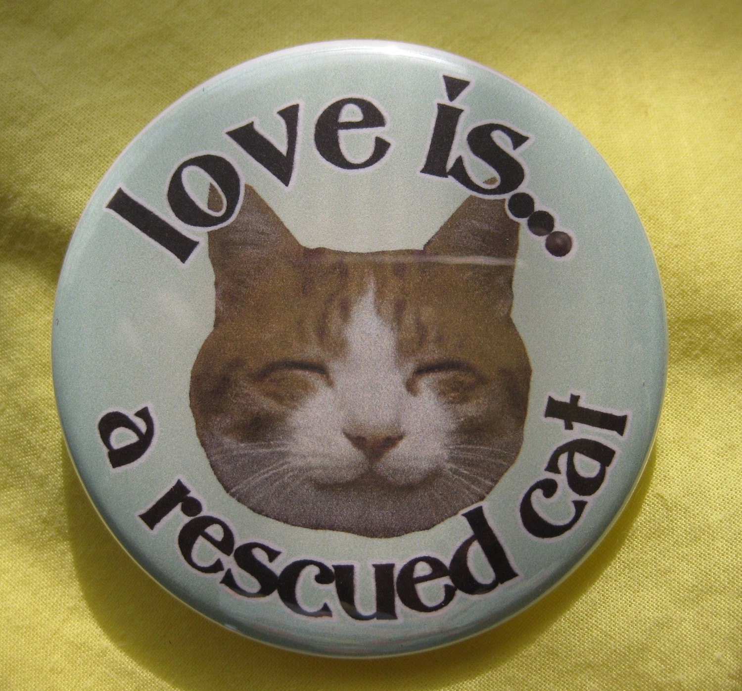 love is ... a rescued cat .... orange tabby ... badge