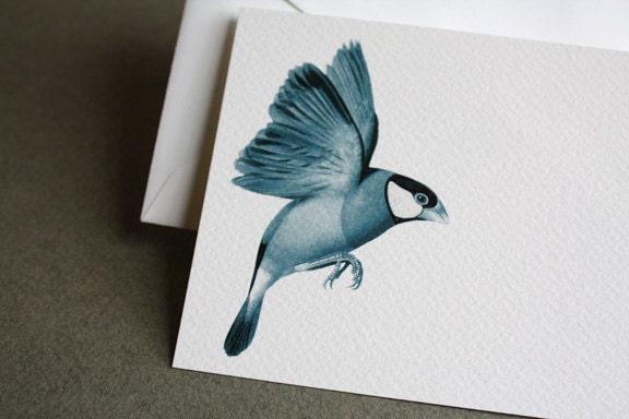 Chickadee Notecard (1)