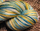 Sockins-Aucuba Superwash Sock Yarn