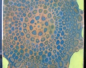 tide pool no. 1