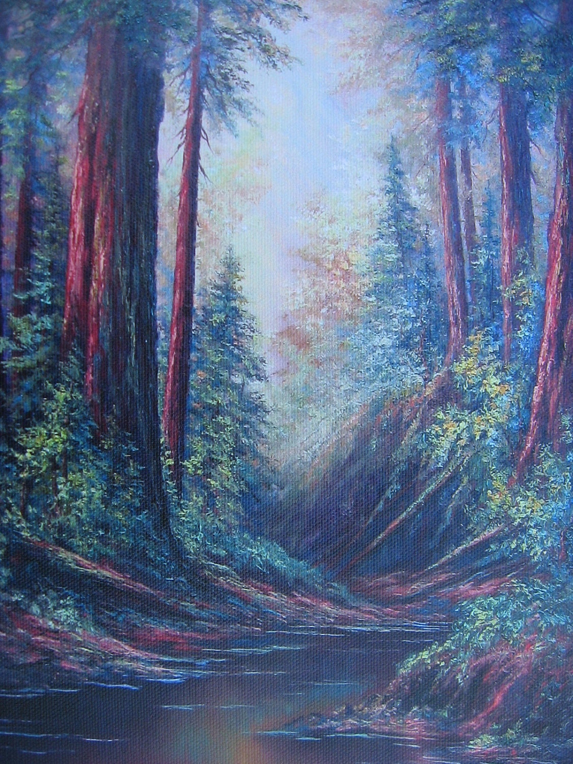 Santa Cruz Redwoods,  Giclee print by Griselda Tello