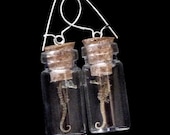 Tiny Seahorse Specimen Earrings
